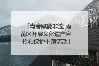 青春赋能非遗 雨花区开展文化遗产宣传和保护主题活动