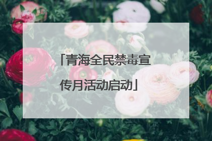 青海全民禁毒宣传月活动启动