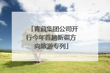 青藏集团公司开行今年首趟新疆方向旅游专列