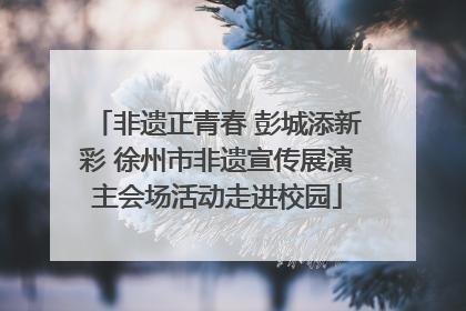 非遗正青春 彭城添新彩 徐州市非遗宣传展演主会场活动走进校园