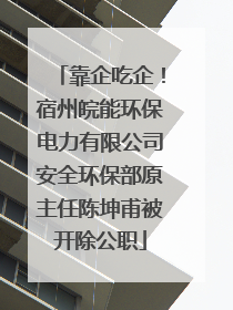 靠企吃企！宿州皖能环保电力有限公司安全环保部原主任陈坤甫被开除公职