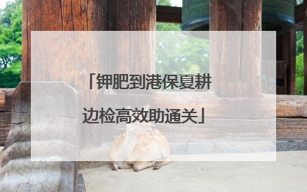 钾肥到港保夏耕 边检高效助通关