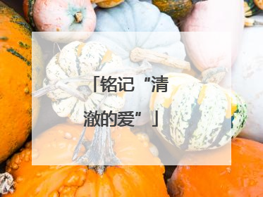 铭记“清澈的爱”