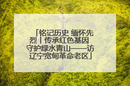 铭记历史 缅怀先烈丨传承红色基因 守护绿水青山——访辽宁宽甸革命老区