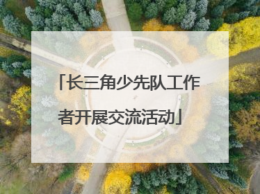 长三角少先队工作者开展交流活动
