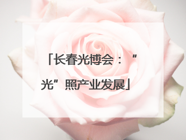 长春光博会：“光”照产业发展