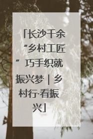 长沙千余“乡村工匠”巧手织就振兴梦｜乡村行·看振兴