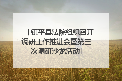 镇平县法院组织召开调研工作推进会暨第三次调研沙龙活动