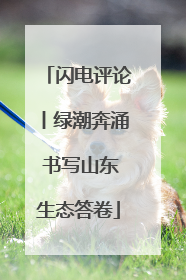 闪电评论丨绿潮奔涌 书写山东生态答卷