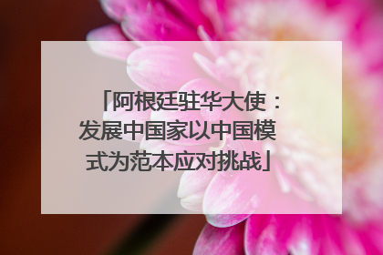 阿根廷驻华大使：发展中国家以中国模式为范本应对挑战