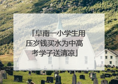 阜南一小学生用压岁钱买水为中高考学子送清凉