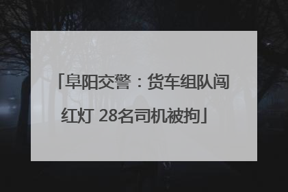 阜阳交警：货车组队闯红灯 28名司机被拘