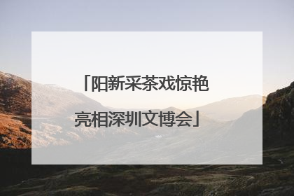 阳新采茶戏惊艳亮相深圳文博会