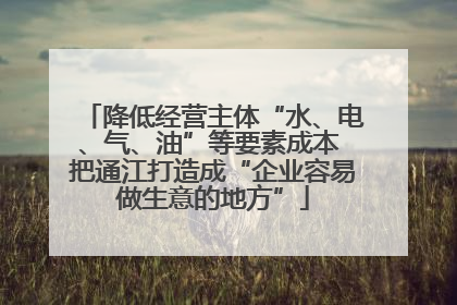 降低经营主体“水、电、气、油”等要素成本 把通江打造成“企业容易做生意的地方”
