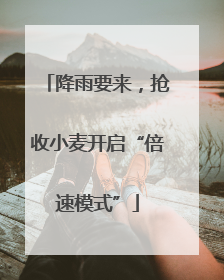 降雨要来，抢收小麦开启“倍速模式”