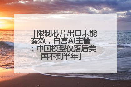 限制芯片出口未能奏效，白宫AI主管：中国模型仅落后美国不到半年