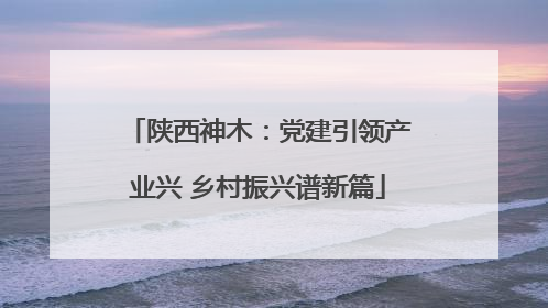 陕西神木：党建引领产业兴 乡村振兴谱新篇