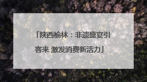 陕西榆林：非遗盛宴引客来 激发消费新活力