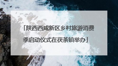 陕西西咸新区乡村旅游消费季启动仪式在茯茶镇举办