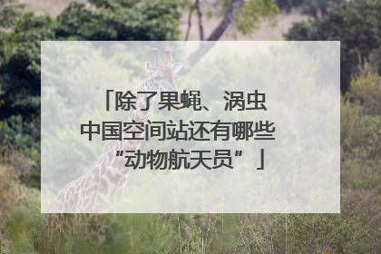 除了果蝇、涡虫 中国空间站还有哪些“动物航天员”