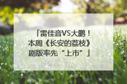 雷佳音VS大鹏！本周《长安的荔枝》剧版率先“上市”