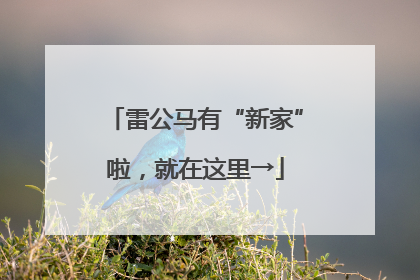 雷公马有“新家”啦，就在这里→