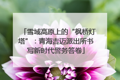 雪域高原上的“枫桥灯塔”：青海吉迈派出所书写新时代警务答卷