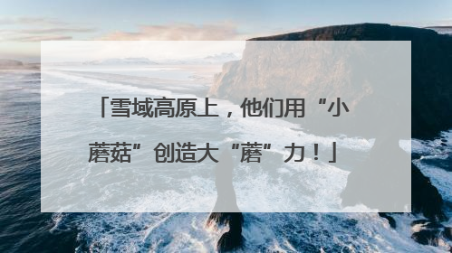 雪域高原上，他们用“小蘑菇”创造大“蘑”力！