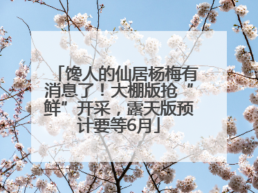 馋人的仙居杨梅有消息了！大棚版抢“鲜”开采，露天版预计要等6月