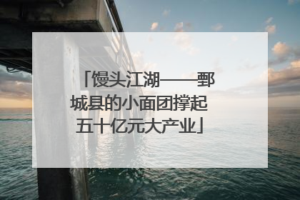 馒头江湖——鄄城县的小面团撑起五十亿元大产业