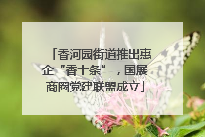香河园街道推出惠企“香十条”，国展商圈党建联盟成立