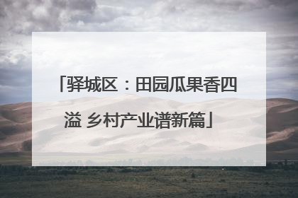 驿城区：田园瓜果香四溢 乡村产业谱新篇