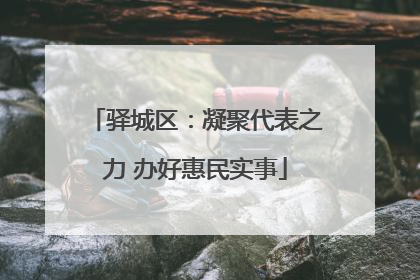 驿城区：凝聚代表之力 办好惠民实事