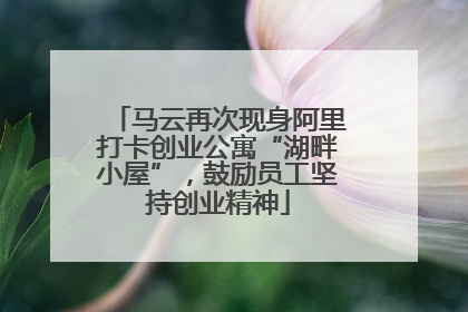 马云再次现身阿里打卡创业公寓“湖畔小屋”，鼓励员工坚持创业精神