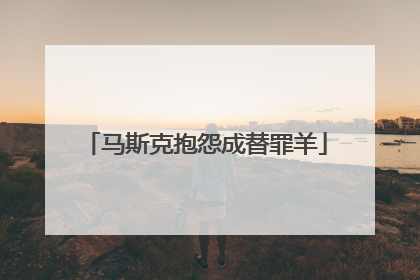 马斯克抱怨成替罪羊