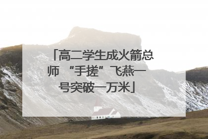 高二学生成火箭总师 “手搓”飞燕一号突破一万米
