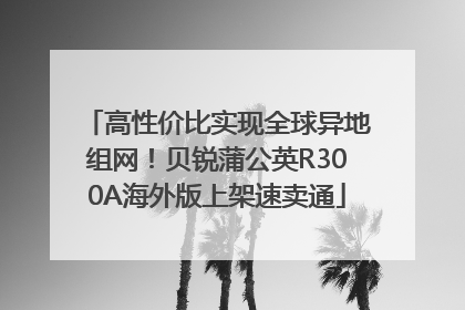 高性价比实现全球异地组网！贝锐蒲公英R300A海外版上架速卖通