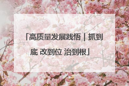 高质量发展践悟｜抓到底 改到位 治到根