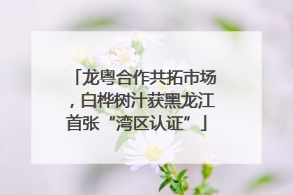 龙粤合作共拓市场，白桦树汁获黑龙江首张“湾区认证”