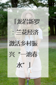 龙岩新罗：兰花经济激活乡村振兴“一池春水”