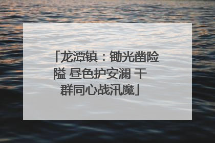 龙潭镇：锄光凿险隘 昼色护安澜 干群同心战汛魔