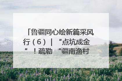 鲁疆同心绘新篇采风行（6）｜“点坑成金”！疏勒 “疆南渔村” 从废弃坑塘变身全国垂钓胜地