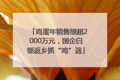 鸡蛋年销售额超2000万元，国企白领返乡抓“鸡”遇