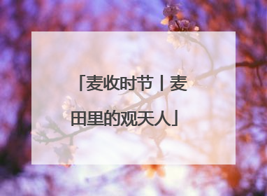麦收时节丨麦田里的观天人