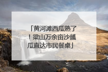黄河滩西瓜熟了！梁山万余亩沙瓤瓜直达市民餐桌
