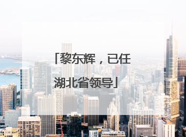 黎东辉，已任湖北省领导