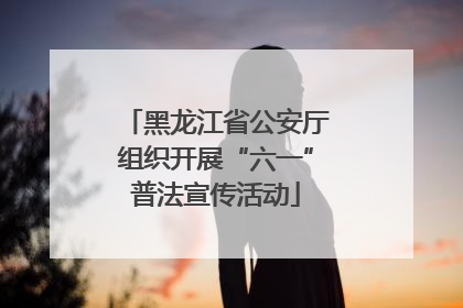 黑龙江省公安厅组织开展“六一”普法宣传活动
