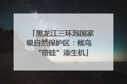 黑龙江三环泡国家级自然保护区：候鸟“带娃”添生机