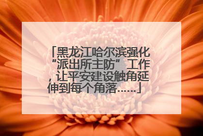 黑龙江哈尔滨强化“派出所主防”工作，让平安建设触角延伸到每个角落……