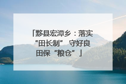 黟县宏潭乡：落实“田长制” 守好良田保“粮仓”
